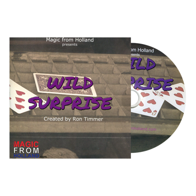 Ron Timmer - Wild Surprise