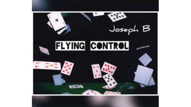 Flying Control By Joseph B