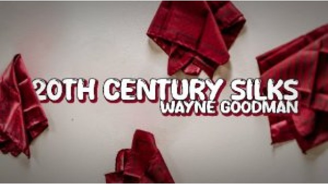 20Th Century Silks by Wayne Goodman